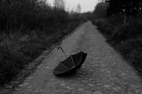 Kliknij na zdjęcie, żeby zobaczyć w pełnych wymiarach