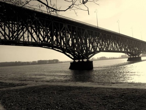 Kliknij na zdjęcie, żeby zobaczyć w pełnych wymiarach