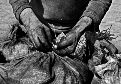 Kliknij na zdjęcie, żeby zobaczyć w pełnych wymiarach