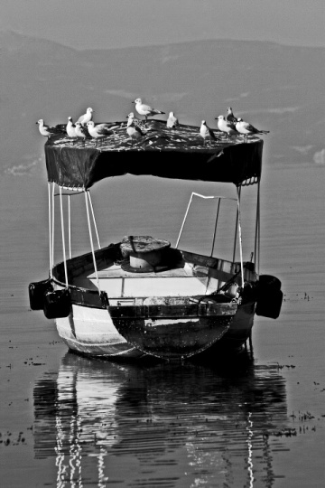 Kliknij na zdjęcie, żeby zobaczyć w pełnych wymiarach