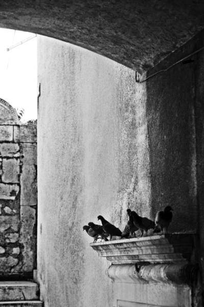 Kliknij na zdjęcie, żeby zobaczyć w pełnych wymiarach