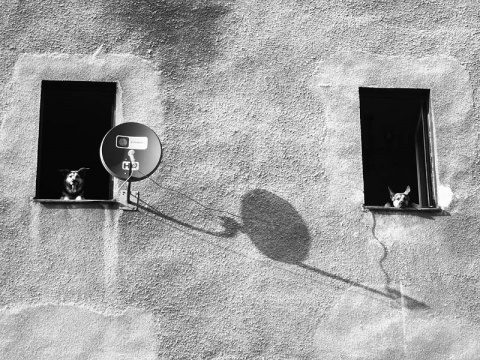 Kliknij na zdjęcie, żeby zobaczyć w pełnych wymiarach