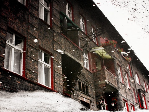 Kliknij na zdjęcie, żeby zobaczyć w pełnych wymiarach