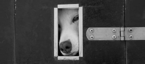 Kliknij na zdjęcie, żeby zobaczyć w pełnych wymiarach