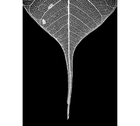 Kliknij na zdjęcie, żeby zobaczyć w pełnych wymiarach