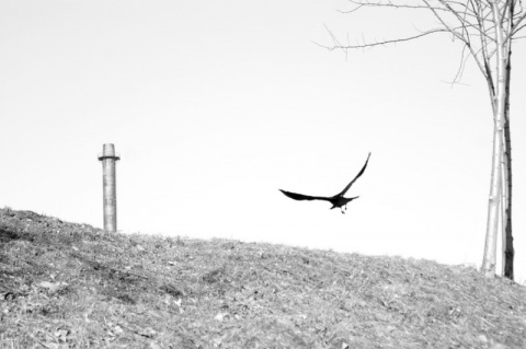 Kliknij na zdjęcie, żeby zobaczyć w pełnych wymiarach