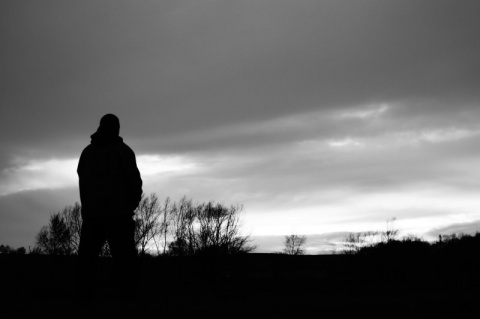 Kliknij na zdjęcie, żeby zobaczyć w pełnych wymiarach