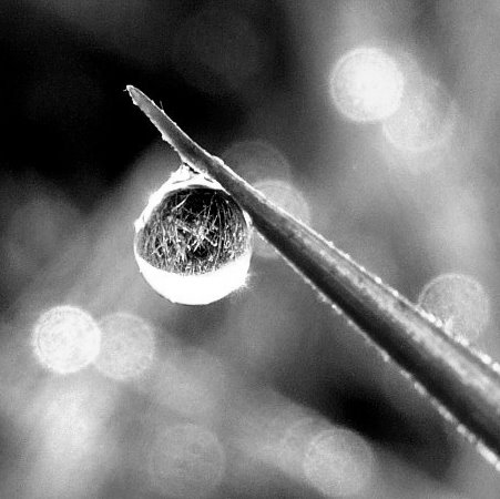 Kliknij na zdjęcie, żeby zobaczyć w pełnych wymiarach