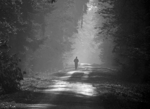 Kliknij na zdjęcie, żeby zobaczyć w pełnych wymiarach