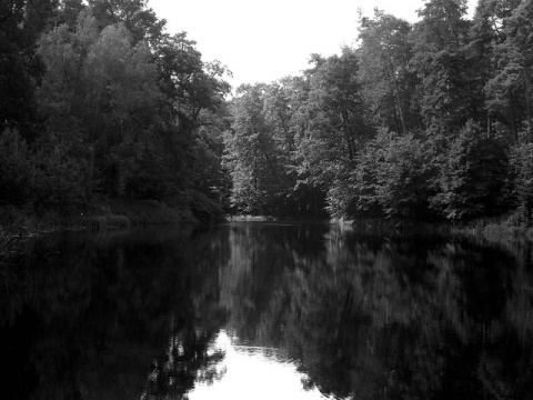 Kliknij na zdjęcie, żeby zobaczyć w pełnych wymiarach