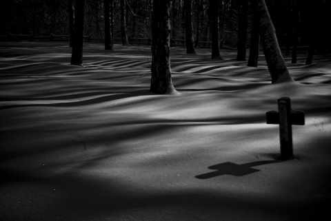 Kliknij na zdjęcie, żeby zobaczyć w pełnych wymiarach