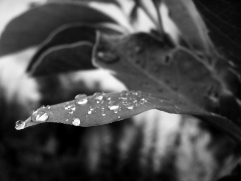 Kliknij na zdjęcie, żeby zobaczyć w pełnych wymiarach