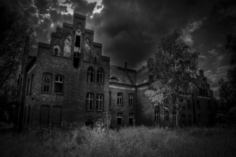 Kliknij na zdjęcie, żeby zobaczyć w pełnych wymiarach