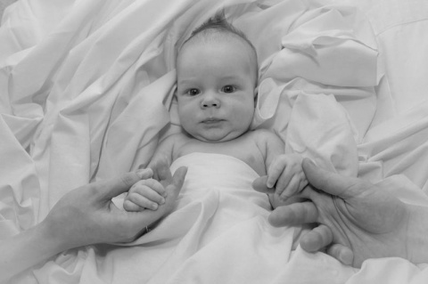 Kliknij na zdjęcie, żeby zobaczyć w pełnych wymiarach