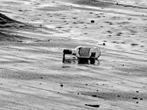 Kliknij na zdjęcie, żeby zobaczyć w pełnych wymiarach