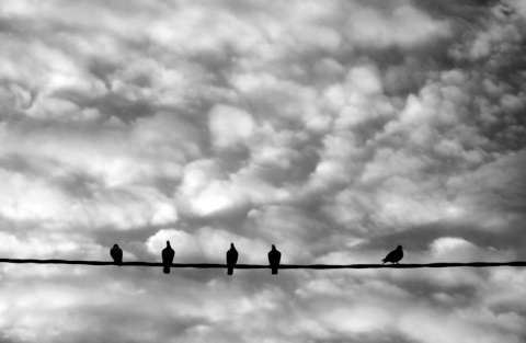 Kliknij na zdjęcie, żeby zobaczyć w pełnych wymiarach