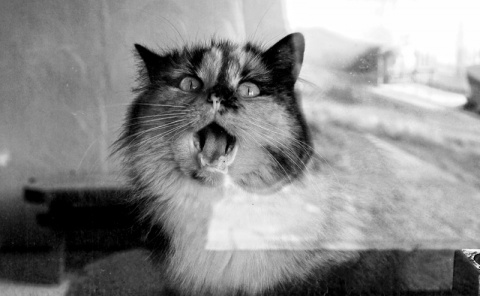 Kliknij na zdjęcie, żeby zobaczyć w pełnych wymiarach