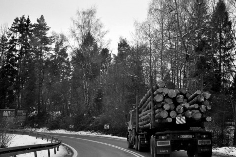 Kliknij na zdjęcie, żeby zobaczyć w pełnych wymiarach