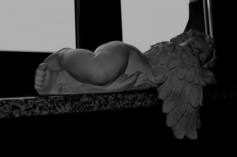 Kliknij na zdjęcie, żeby zobaczyć w pełnych wymiarach