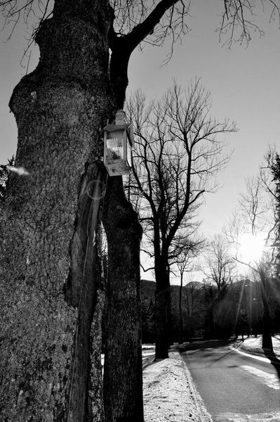Kliknij na zdjęcie, żeby zobaczyć w pełnych wymiarach