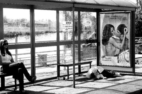 Kliknij na zdjęcie, żeby zobaczyć w pełnych wymiarach