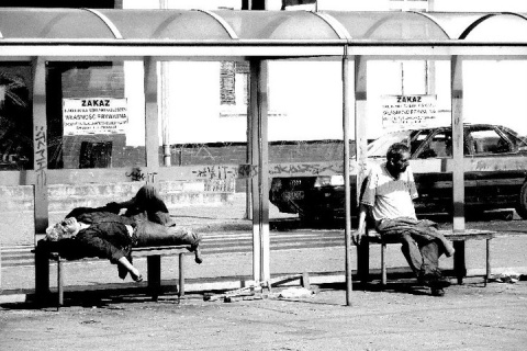 Kliknij na zdjęcie, żeby zobaczyć w pełnych wymiarach