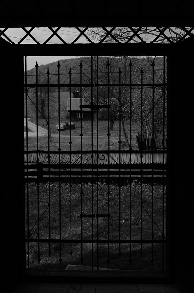 Kliknij na zdjęcie, żeby zobaczyć w pełnych wymiarach