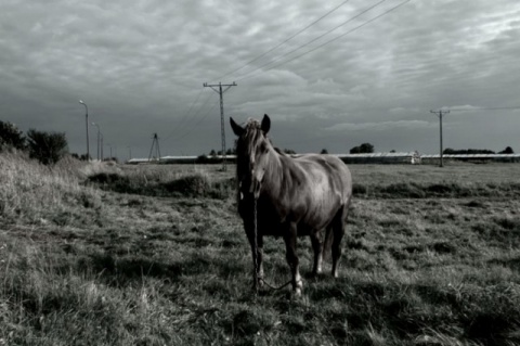 Kliknij na zdjęcie, żeby zobaczyć w pełnych wymiarach
