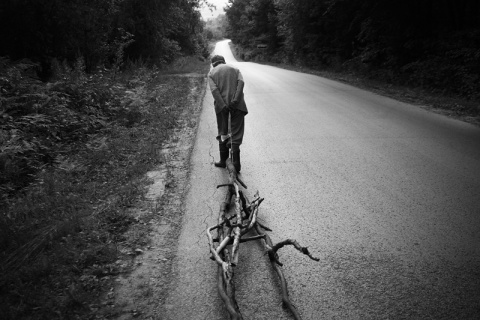 Kliknij na zdjęcie, żeby zobaczyć w pełnych wymiarach