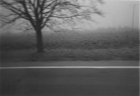 Kliknij na zdjęcie, żeby zobaczyć w pełnych wymiarach