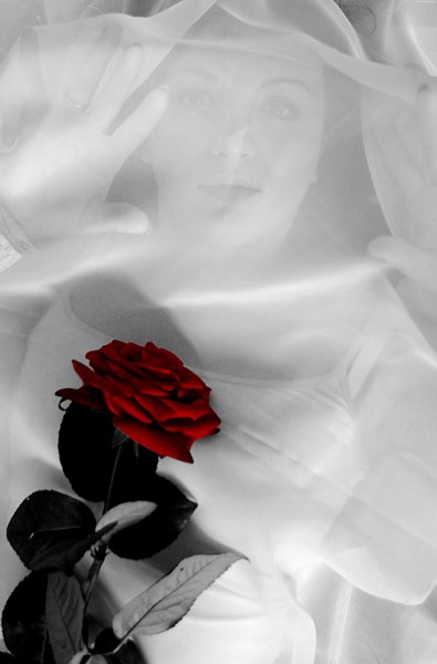 Kliknij na zdjęcie, żeby zobaczyć w pełnych wymiarach