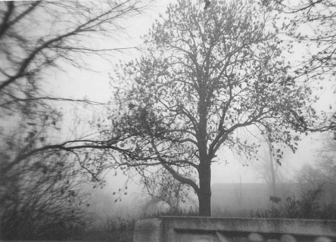 Kliknij na zdjęcie, żeby zobaczyć w pełnych wymiarach