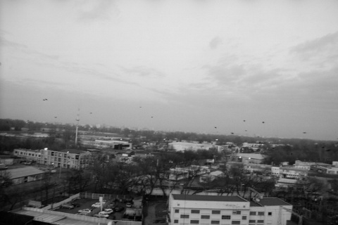 Kliknij na zdjęcie, żeby zobaczyć w pełnych wymiarach