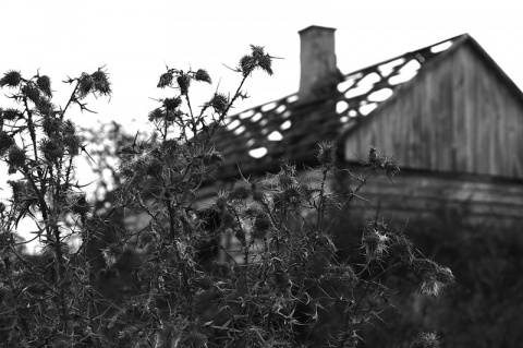 Kliknij na zdjęcie, żeby zobaczyć w pełnych wymiarach