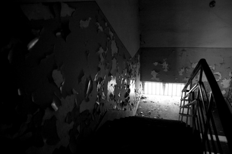 Kliknij na zdjęcie, żeby zobaczyć w pełnych wymiarach