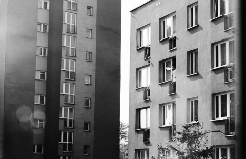 Kliknij na zdjęcie, żeby zobaczyć w pełnych wymiarach
