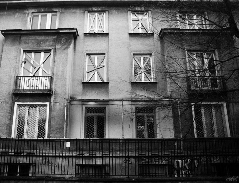 Kliknij na zdjęcie, żeby zobaczyć w pełnych wymiarach