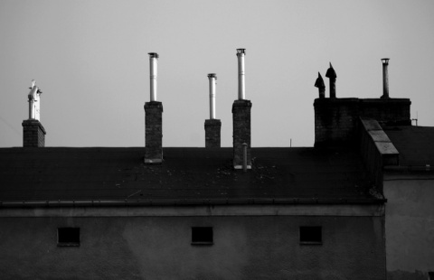 Kliknij na zdjęcie, żeby zobaczyć w pełnych wymiarach