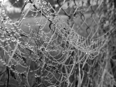 Kliknij na zdjęcie, żeby zobaczyć w pełnych wymiarach