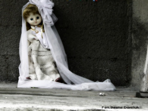 Kliknij na zdjęcie, żeby zobaczyć w pełnych wymiarach