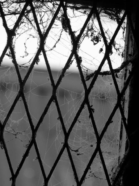 Kliknij na zdjęcie, żeby zobaczyć w pełnych wymiarach