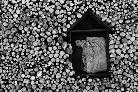 Kliknij na zdjęcie, żeby zobaczyć w pełnych wymiarach