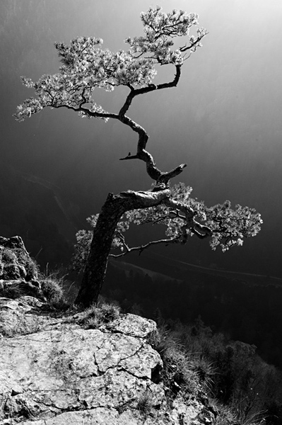 Kliknij na zdjęcie, żeby zobaczyć w pełnych wymiarach