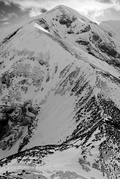 Kliknij na zdjęcie, żeby zobaczyć w pełnych wymiarach