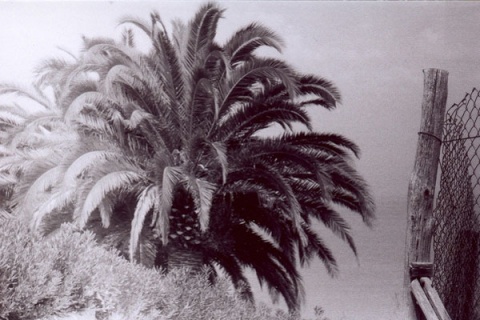 Kliknij na zdjęcie, żeby zobaczyć w pełnych wymiarach