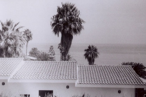 Kliknij na zdjęcie, żeby zobaczyć w pełnych wymiarach