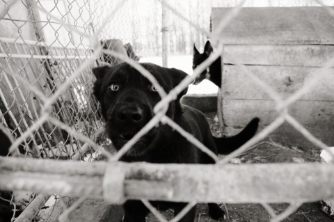 Kliknij na zdjęcie, żeby zobaczyć w pełnych wymiarach