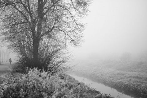 Kliknij na zdjęcie, żeby zobaczyć w pełnych wymiarach