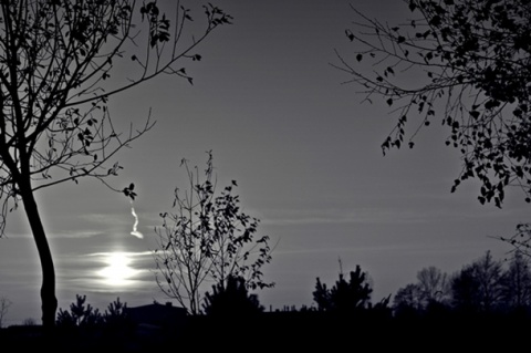 Kliknij na zdjęcie, żeby zobaczyć w pełnych wymiarach
