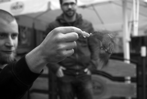 Kliknij na zdjęcie, żeby zobaczyć w pełnych wymiarach